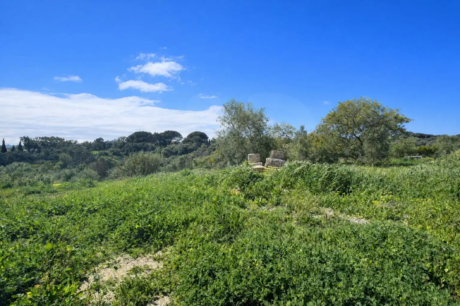 Terreni e lotti in vendita a Sotogrande Alto, imagen 4