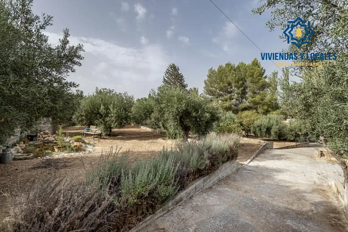 Xalet amb piscina en venda a Aljomahima - Ermita, imagen 47