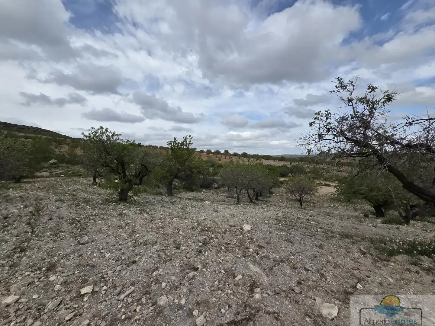 Terrenys i solars en venda a Albox, imagen 10