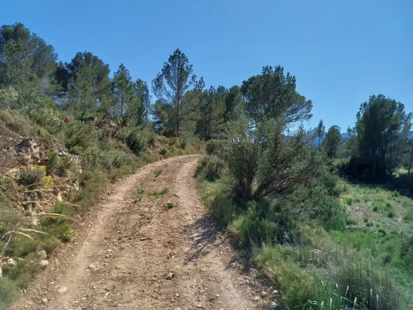 Terreno rustico in vendita a Lugar Castillo, imagen 22