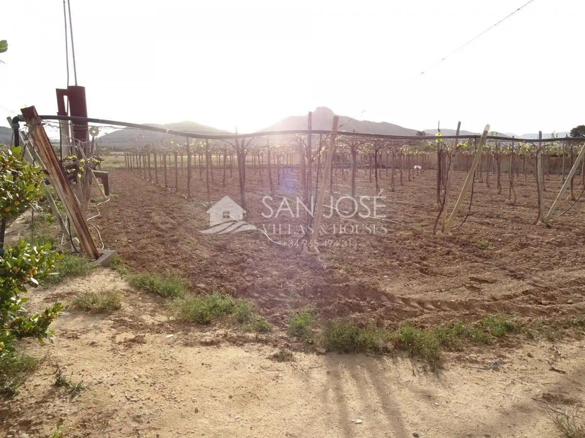 Houses for sale in Aspe  with Storage room