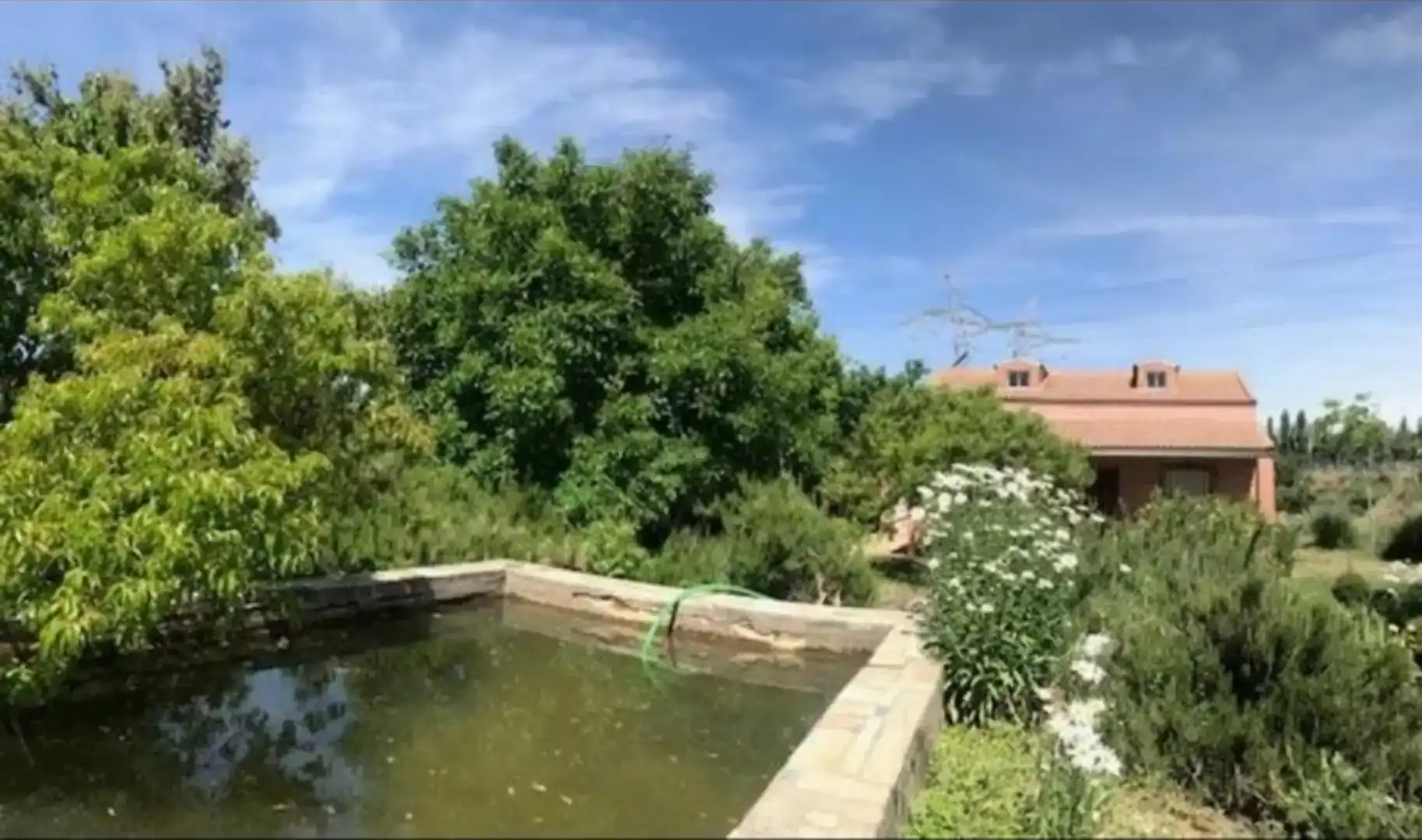 Piscina de Casa o xalet en venda en Palencia Capital