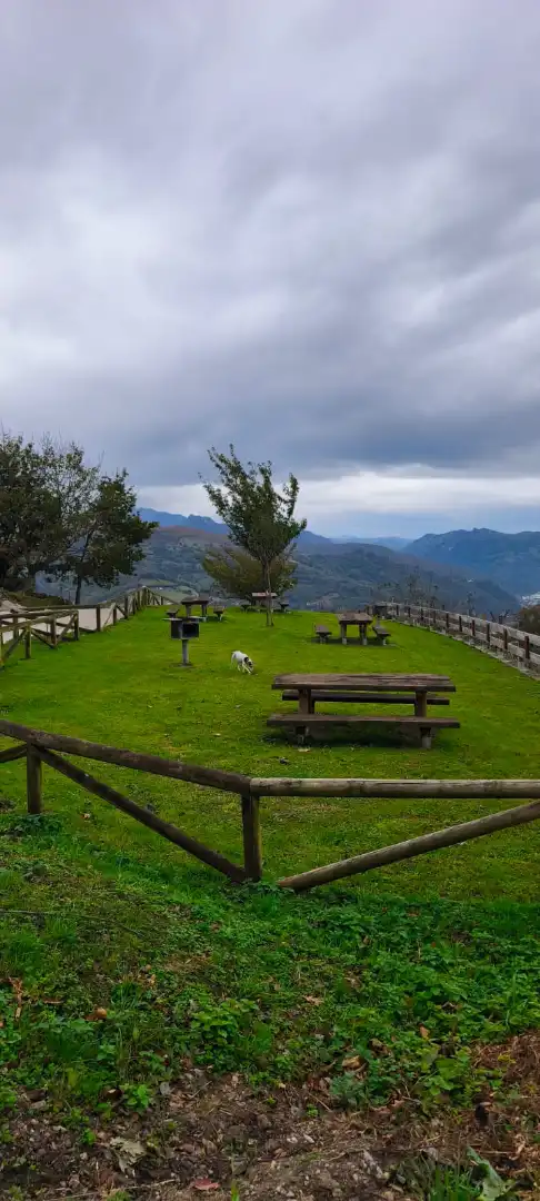 Jardí de Casa o xalet en venda en Mieres (Asturias) amb Jardí privat, Terrassa i Traster