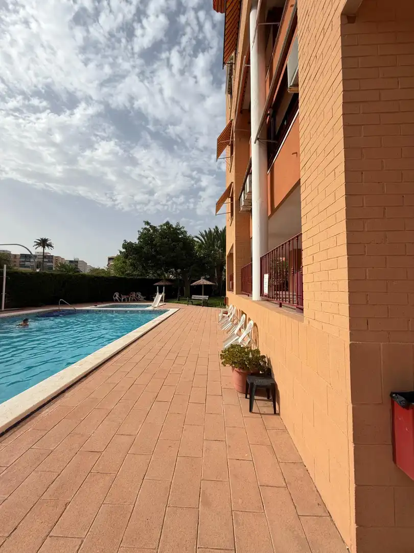 Piscina de Pis en venda en Alicante / Alacant amb Jardí privat, Terrassa i Traster