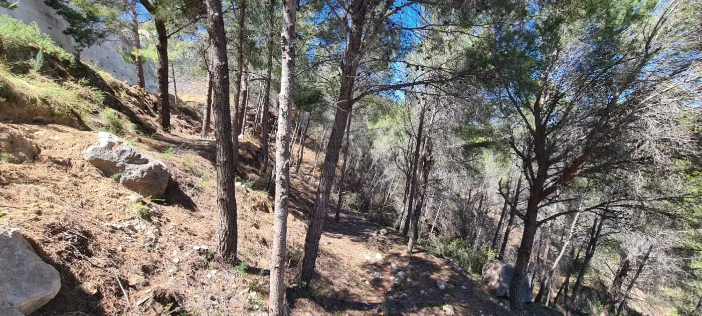 Residential land for sale in Oltamar - Cucarres, imagen 9