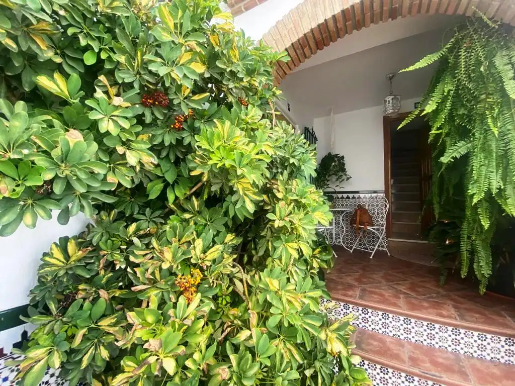 Jardí de Finca rústica en venda en Canillas de Albaida amb Aire condicionat