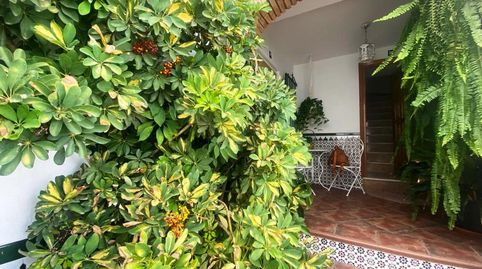 Foto 3 de Finca rústica en venda a Canillas de Albaida, Málaga