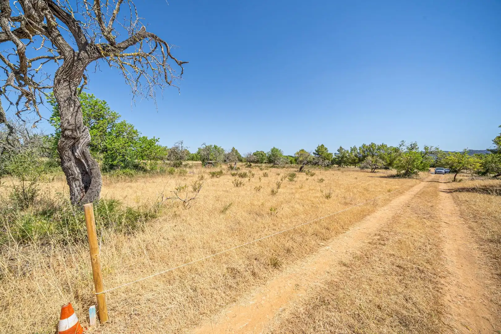 Rural land for sale in Felanitx Poble, imagen 4