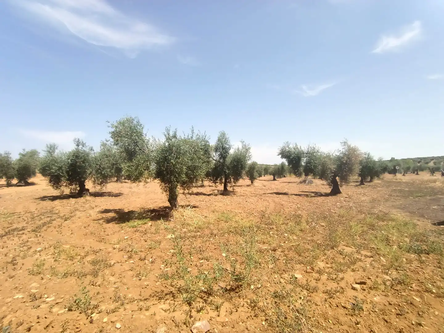 Finca rústica en venda a Cristina