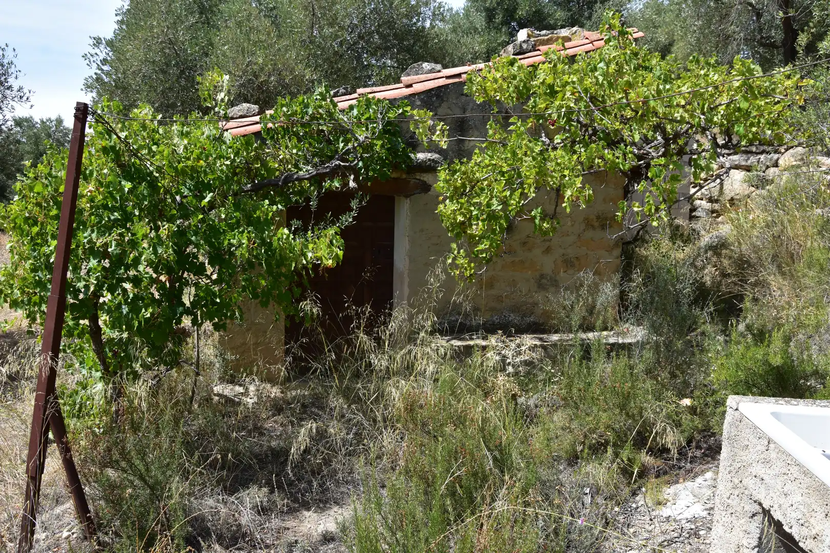 Terreni e lotti in vendita a Valdealgorfa, imagen 2