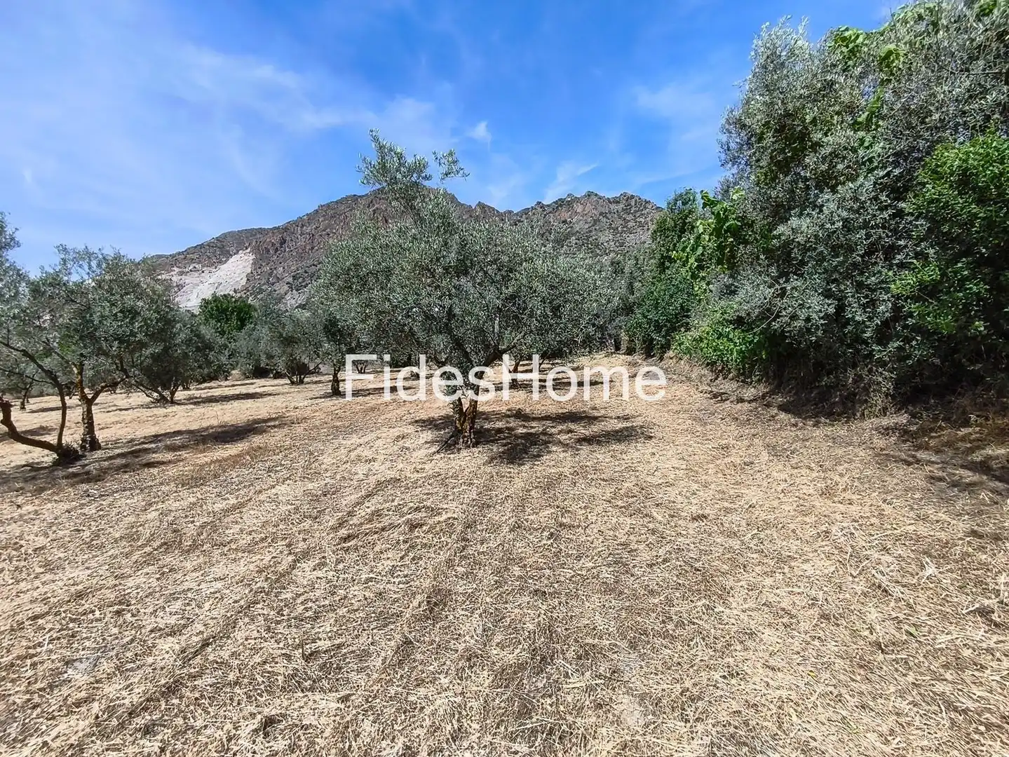 Rural land for sale in XFJ3+526 Nigüelas 0, imagen 28