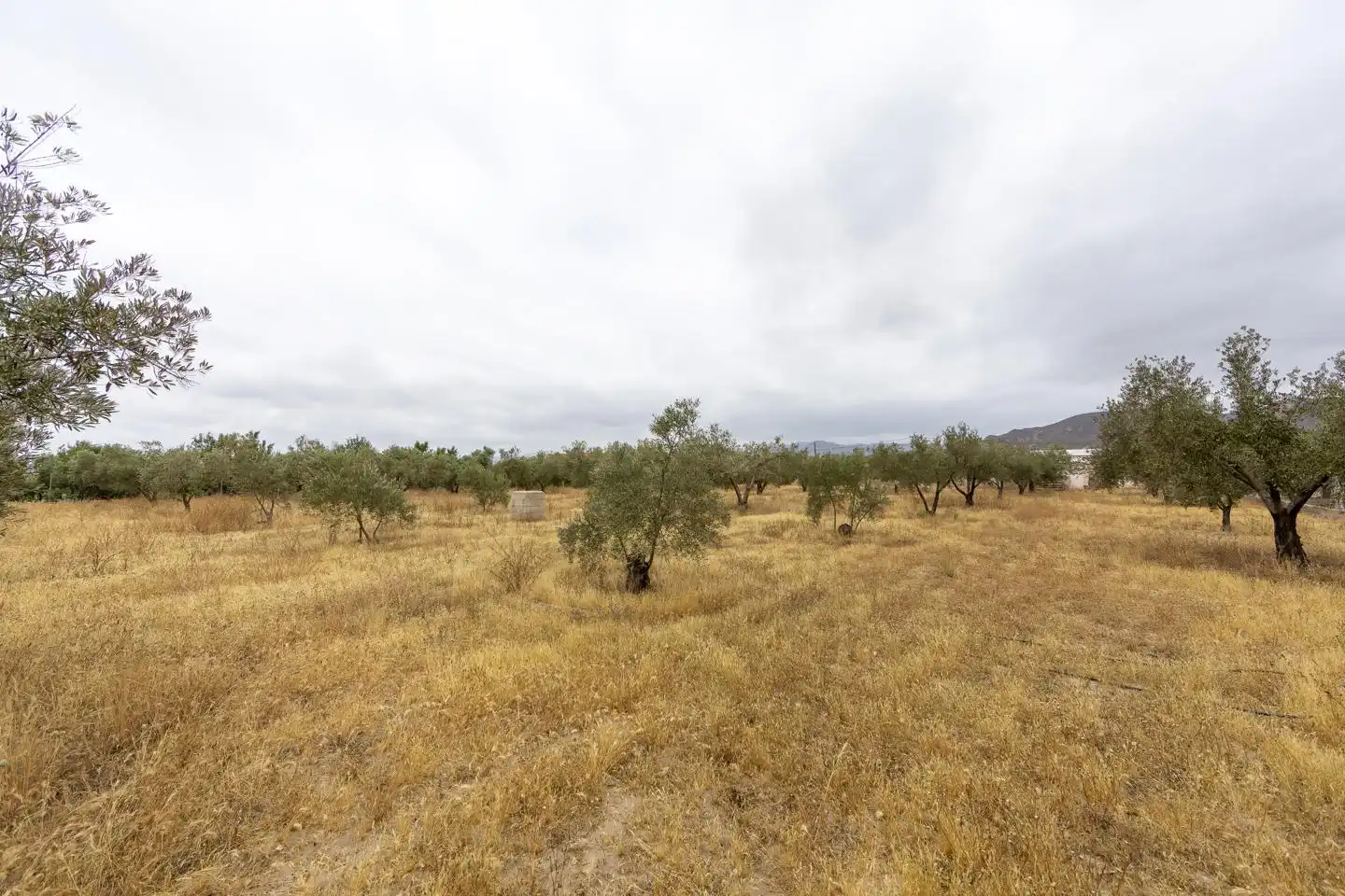 Finca rústica en venta en Turrillas con Jardín privado, Terraza y Trastero