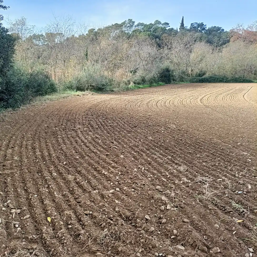 Terreny residencial en venda a Carrer de Sant Antoni, imagen 37