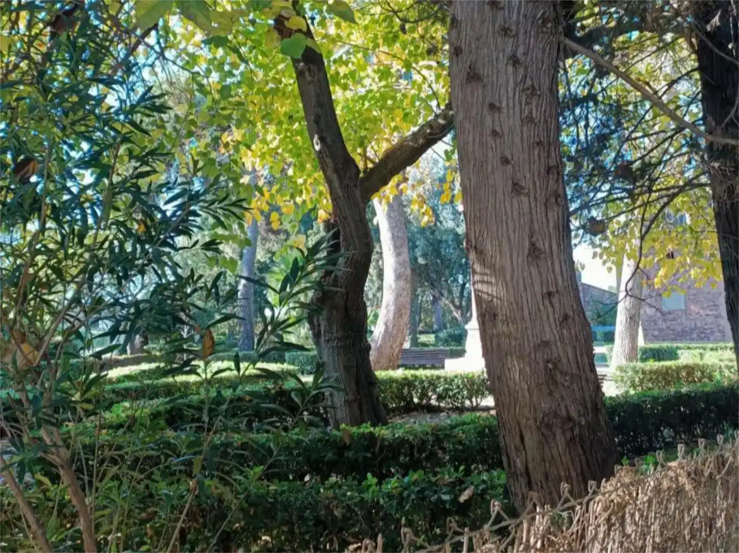 Garten von Fabrikhallen zur Miete in El Puig