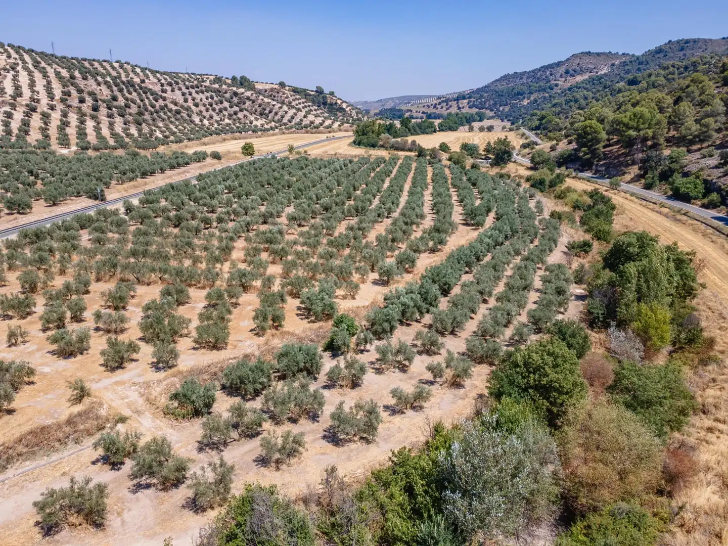 Terreno rustico in vendita a Deifontes, imagen 13