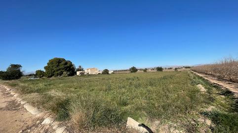 Foto 5 de Residencial en venta en Calle Partida de Valverde Bajo, Polígono 120, Valverde, Elche / Elx