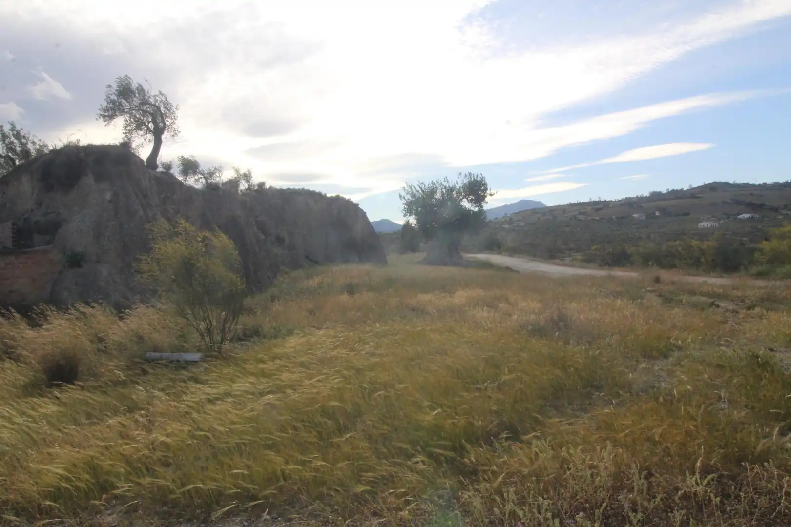 Rural land for sale in Diseminado Poligono 15, imagen 6