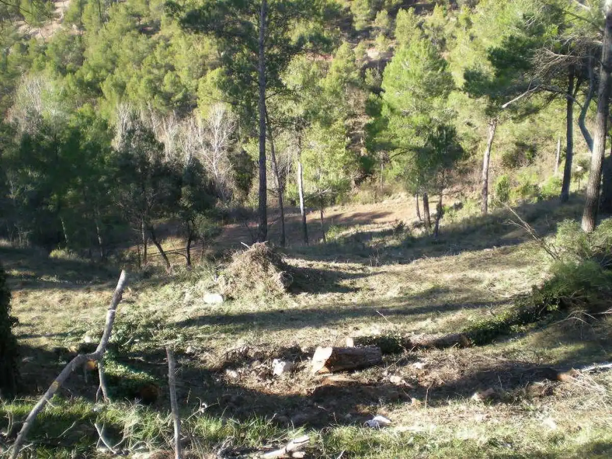 Terrenys i solars en venda a Castellnou de Bages, imagen 8