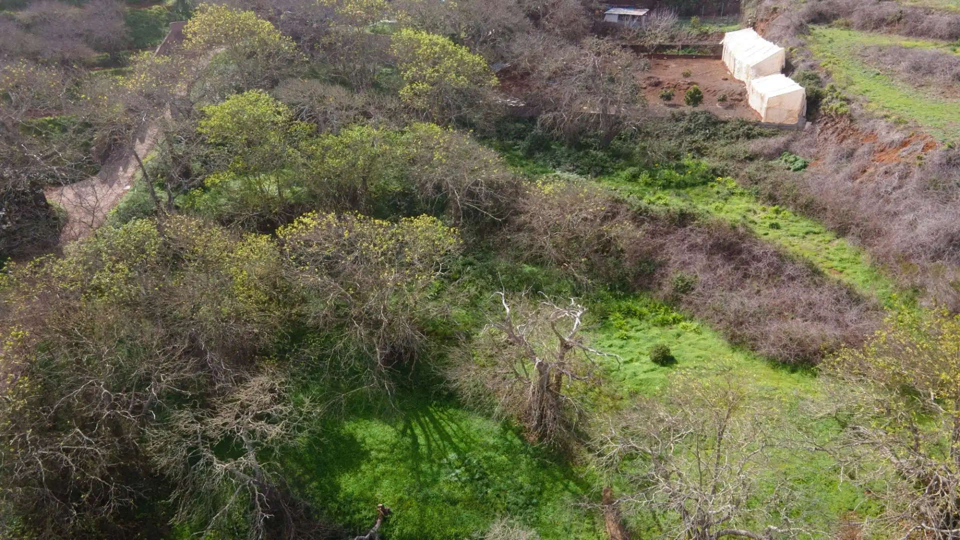 Rustikales Grundstück zum Verkauf in La Esperanza 17, imagen 19