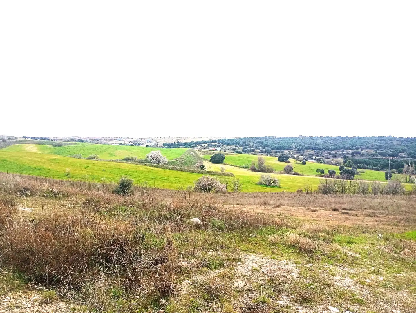 Land for sale in Majadahonda