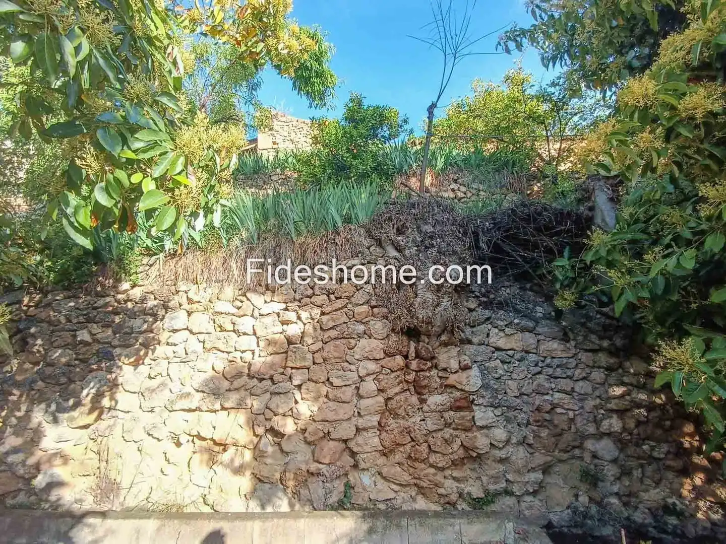 Rustikales Grundstück zum Verkauf in Calle Huertecillas 5, imagen 15