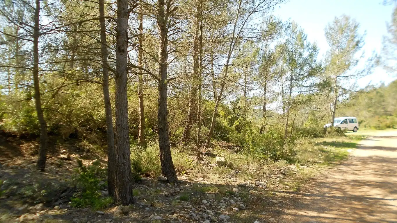 Terreno rústico en venta en Carrer Olesa de Bonesvalls 9, imagen 5