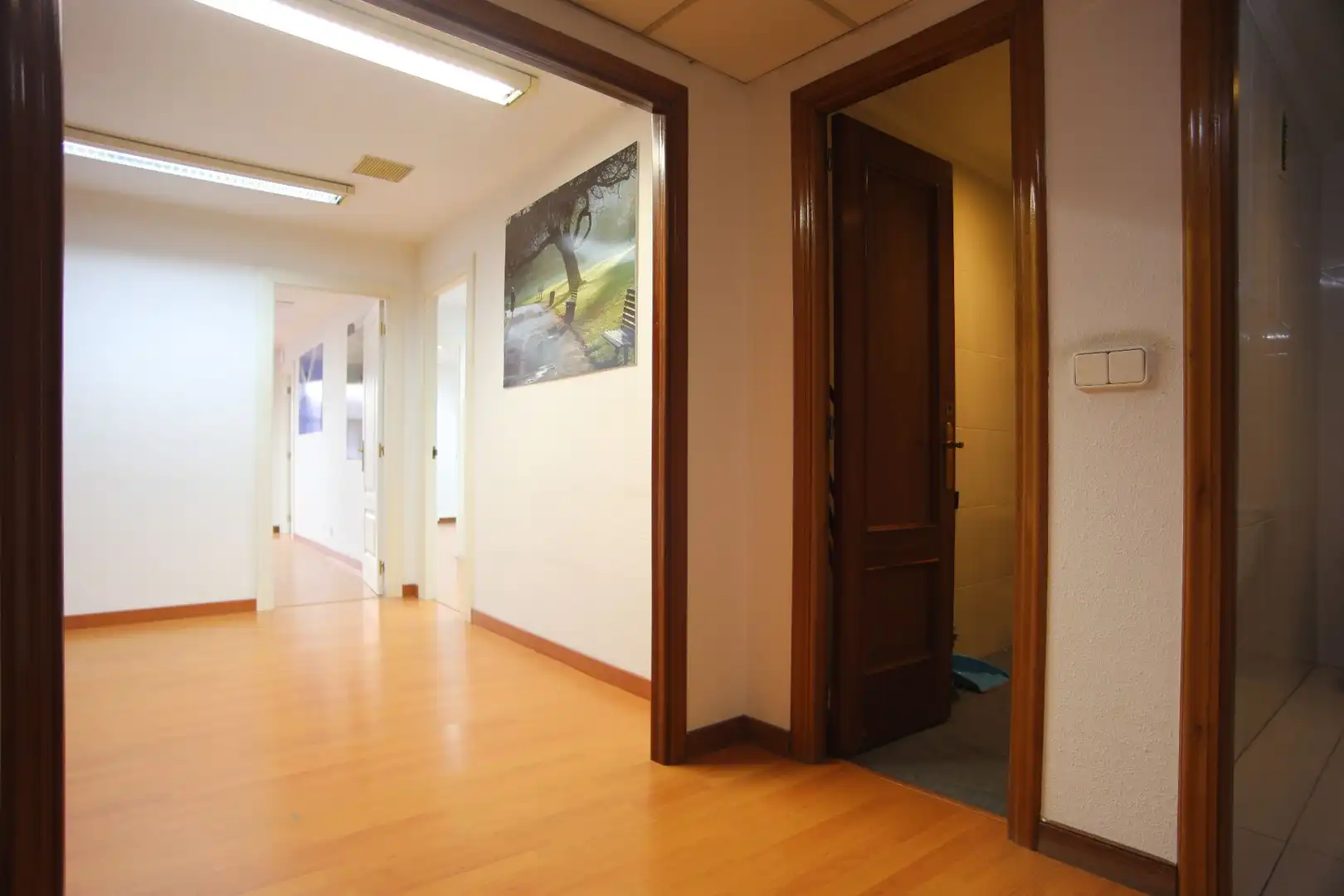 Büro mit Aufzug zum Verkauf in Julián Ceballos, imagen 28