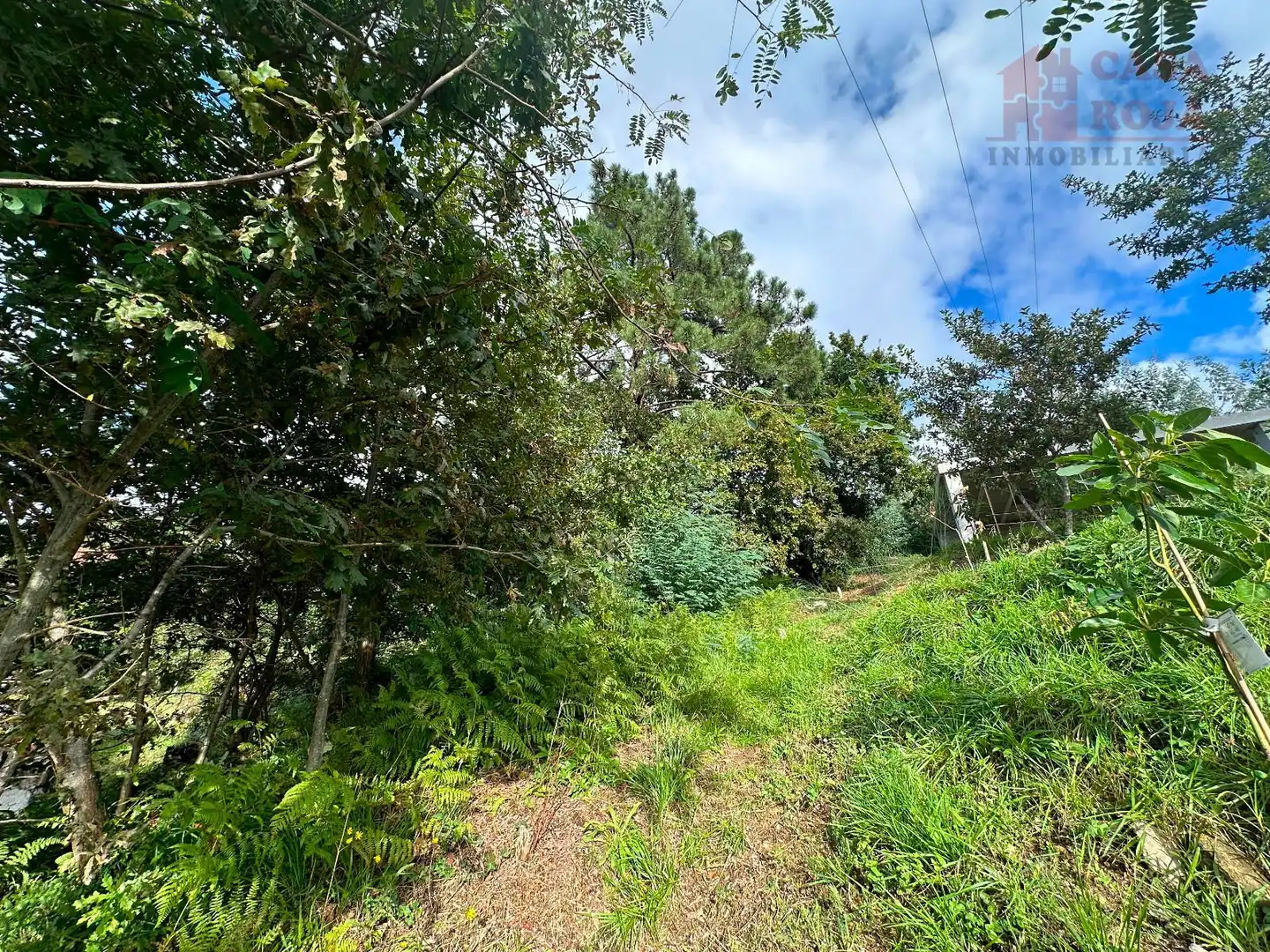 Terrain rustique à vendre à Moaña, imagen 11