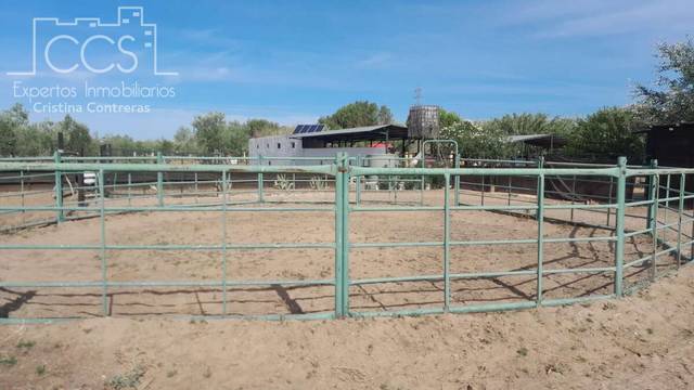 Finca rústica en Alquiler en Almonte ciudad