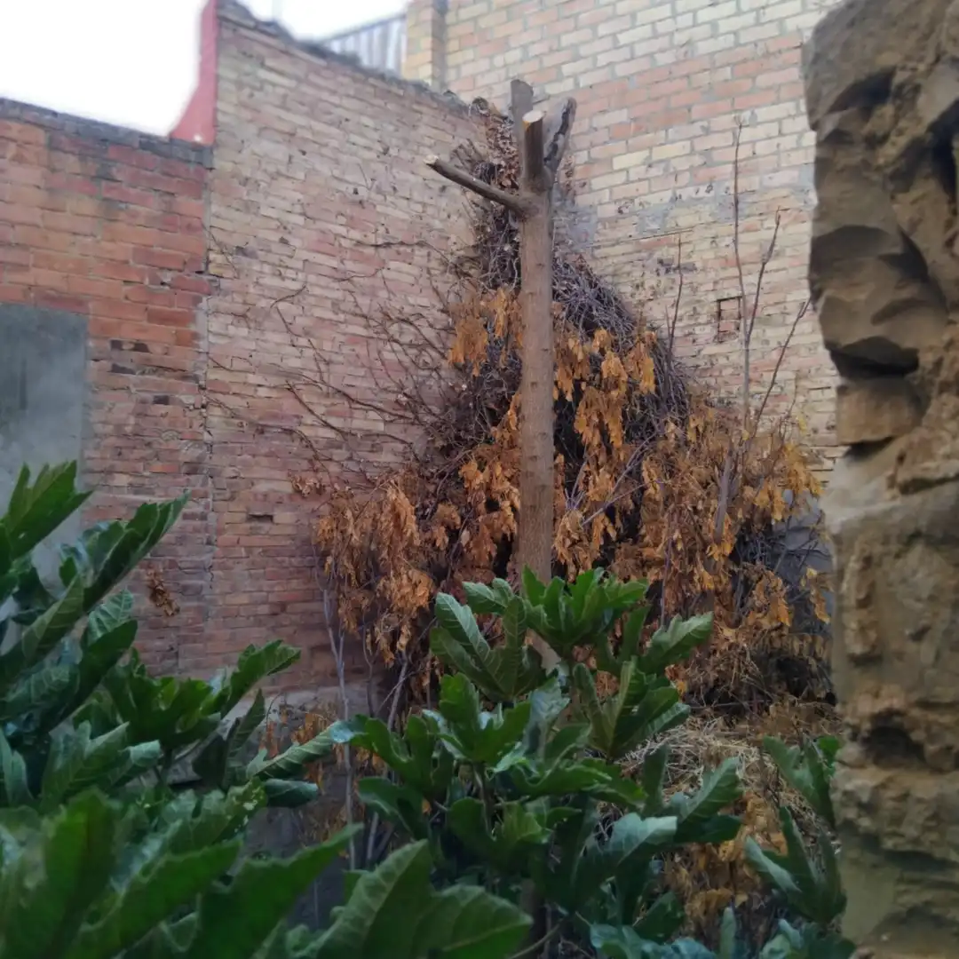 Jardín de Casa o chalet en venta en Tàrrega con Terraza