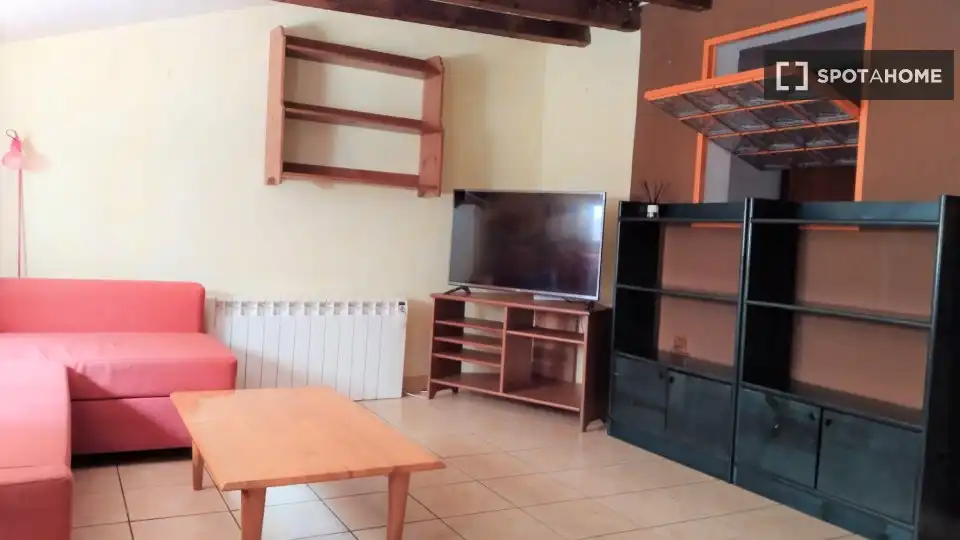 Sala d'estar de Pis de lloguer en Centro