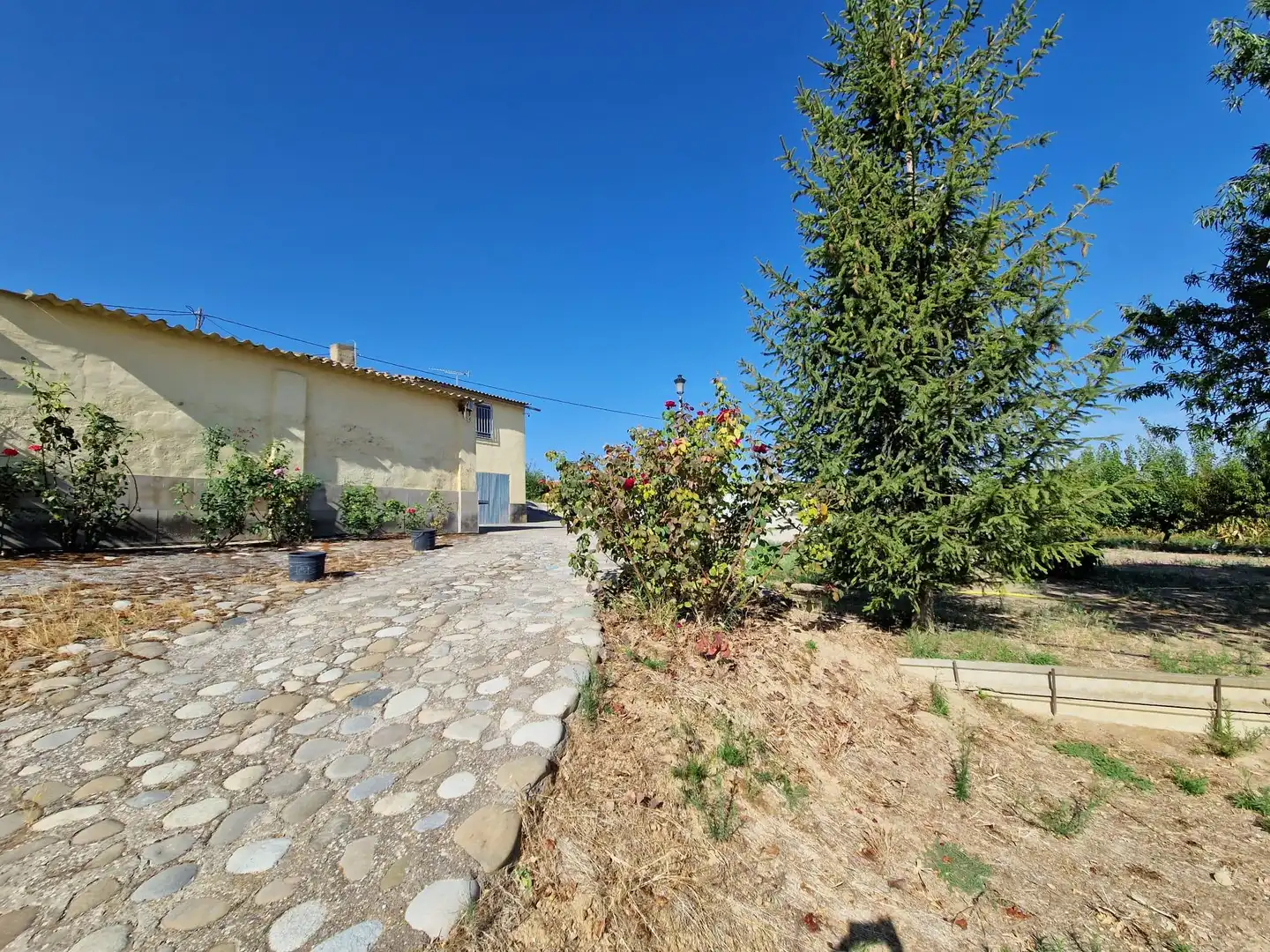 Villa mit Pool zum Verkauf in San Esteban de Litera, imagen 6