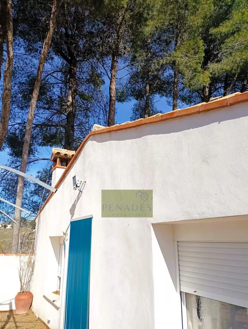 Detached house with pool for sale in El Llombo, imagen 22