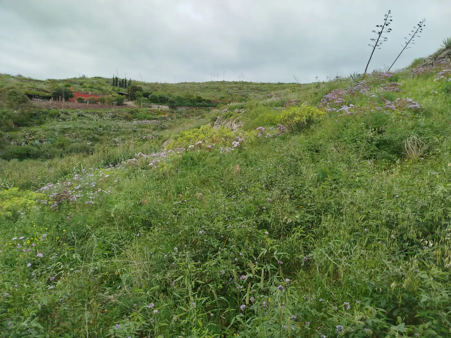 Terrain rustique à vendre à Calle Melian 6, imagen 22