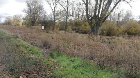 Foto 4 von Grundstücke zum Verkauf in El Pardo, Carcedo de Burgos, Burgos