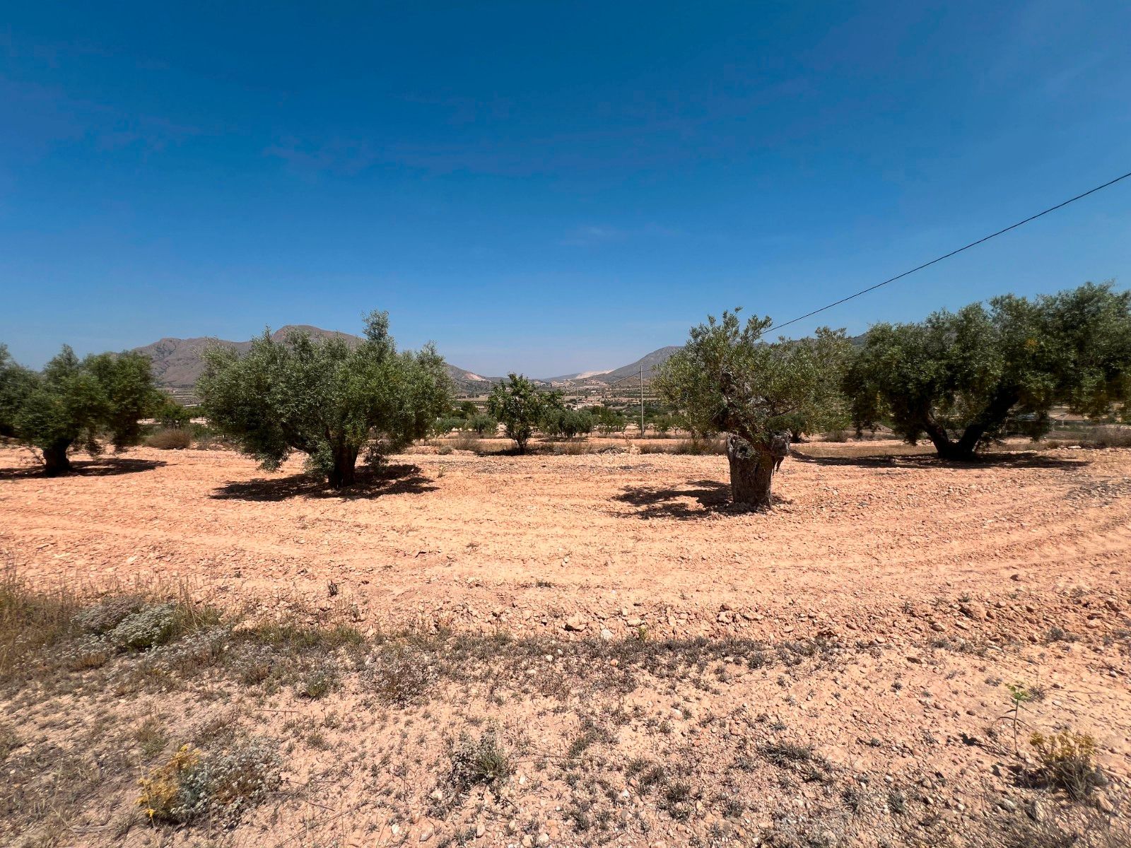 Residencial en venda en Orihuela