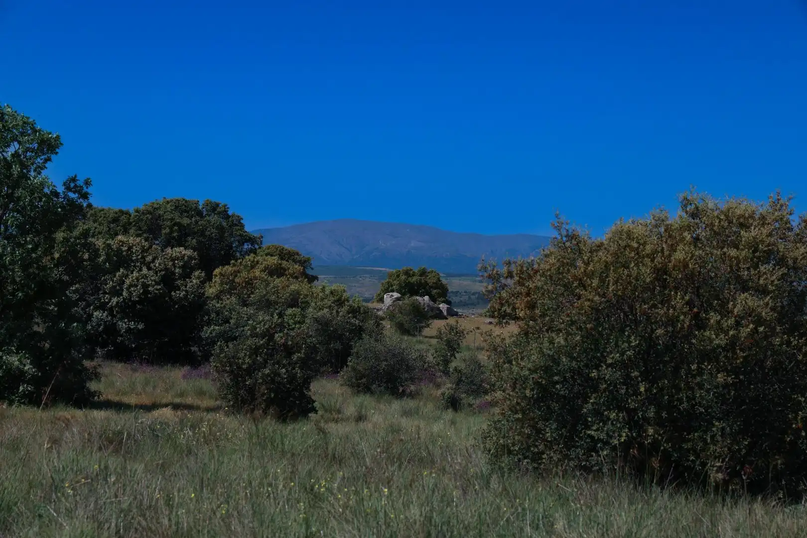 Terreni e lotti in vendita a Carretera CL-505, imagen 35