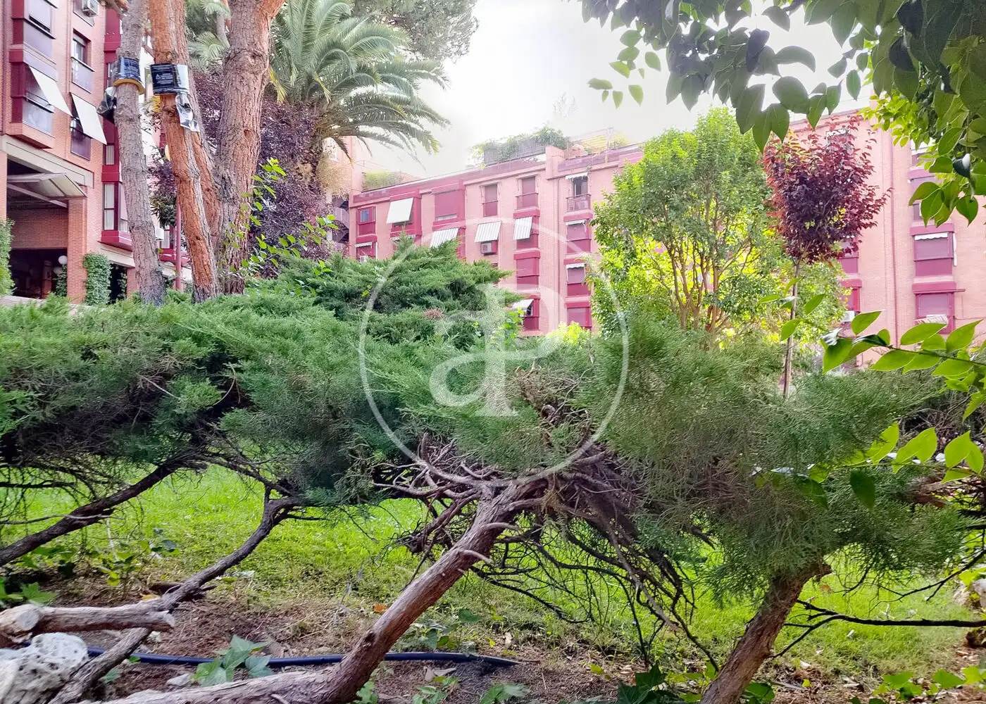 Jardí de Pis en venda en Madrid amb Aire condicionat, Calefacció i Jardí privat