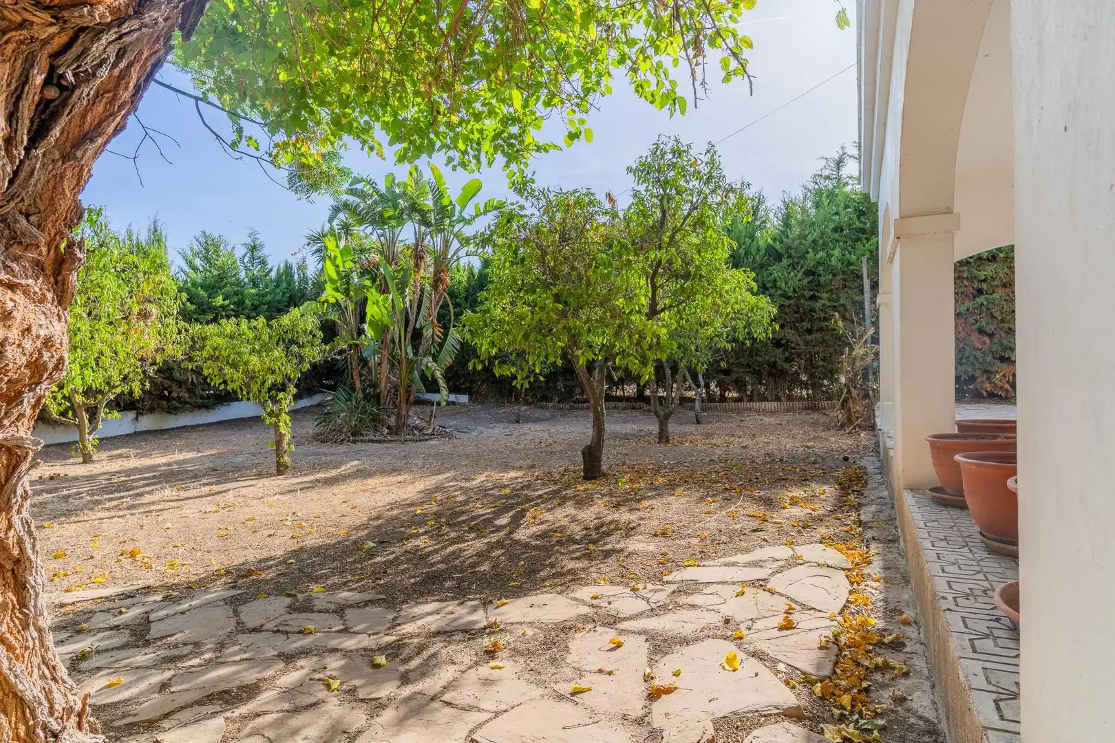 Maison à vendre à Ctra Sanlúcar - Cuatro Pinos, imagen 11
