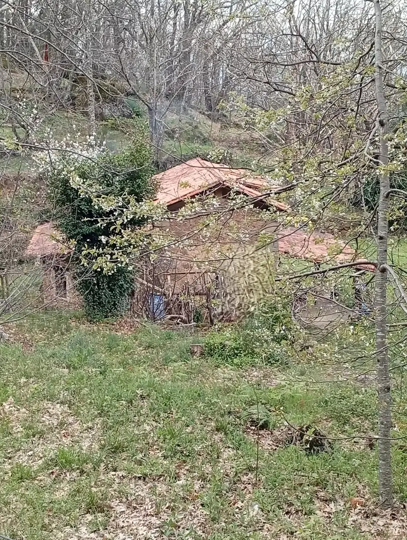 Terreni e lotti in vendita a Valverde de la Vera, imagen 31