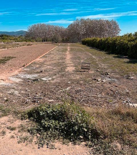 Foto 1 de Terreno en venta en Plaça Poligono N-89.r, 144, Centro, Valencia