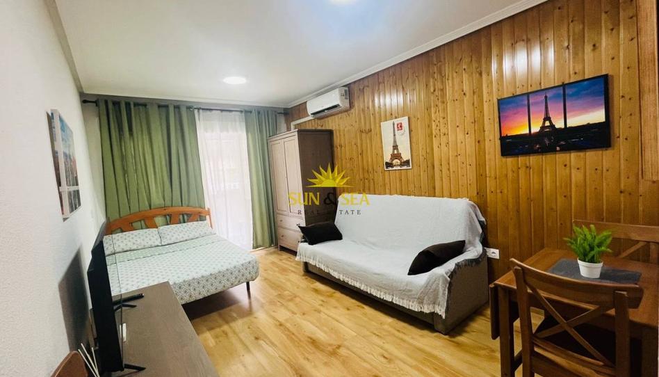 Photo 1 of Study to rent in Zona Playa de los Locos, Alicante