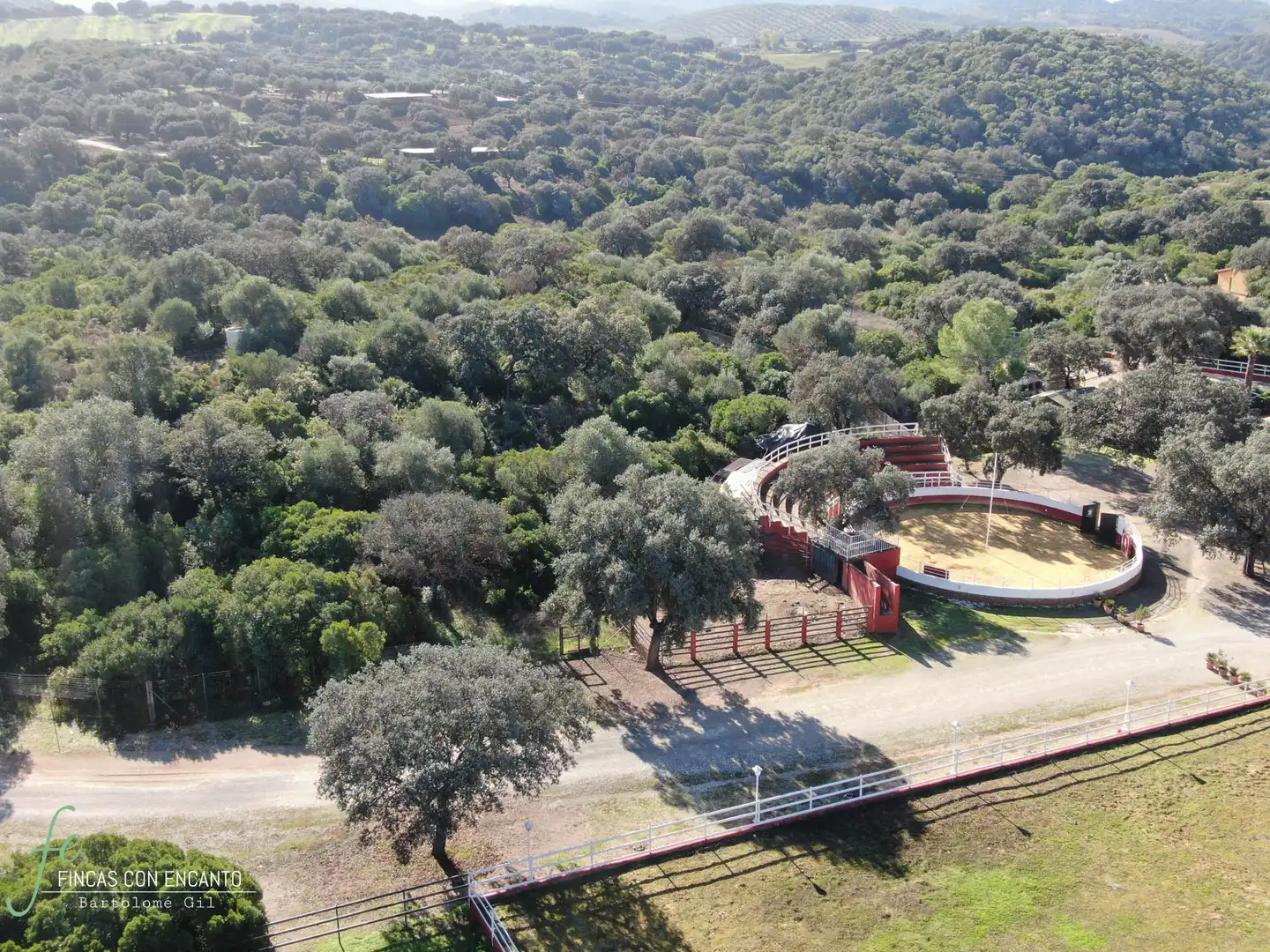 Vista exterior de Finca rústica en venda en Morón de la Frontera amb Jardí privat, Terrassa i Piscina