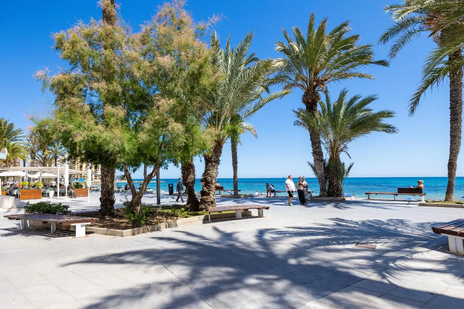 Exterior view of Study for sale in Torrevieja  with Air Conditioner, Terrace and Balcony
