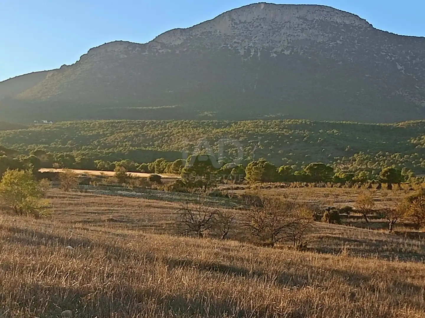 Terreno en venta en Lorca