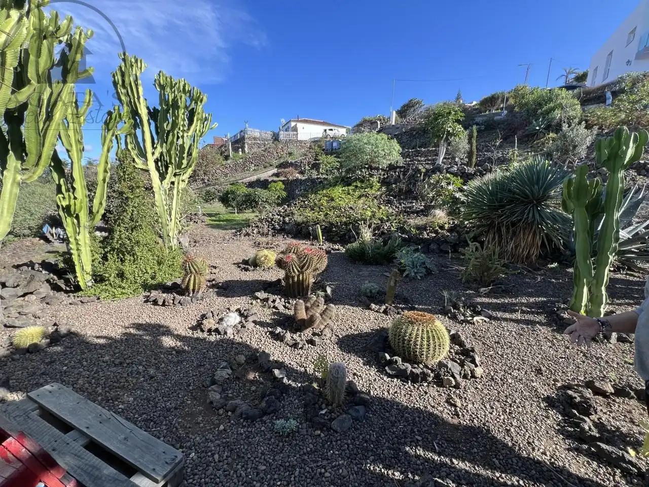 Garden of Country homes for sale in Garachico  with Private garden and Terrace