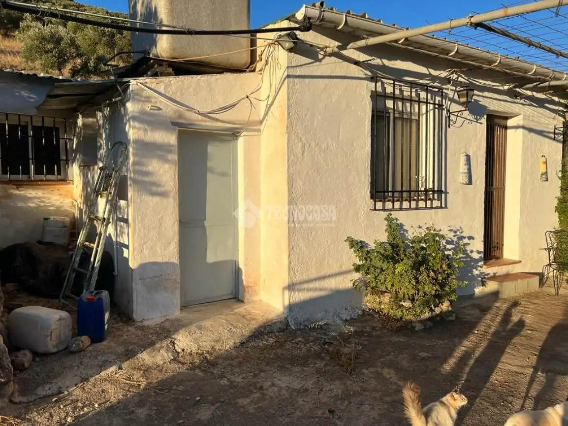 Vista exterior de Finca rústica en venta en Antequera