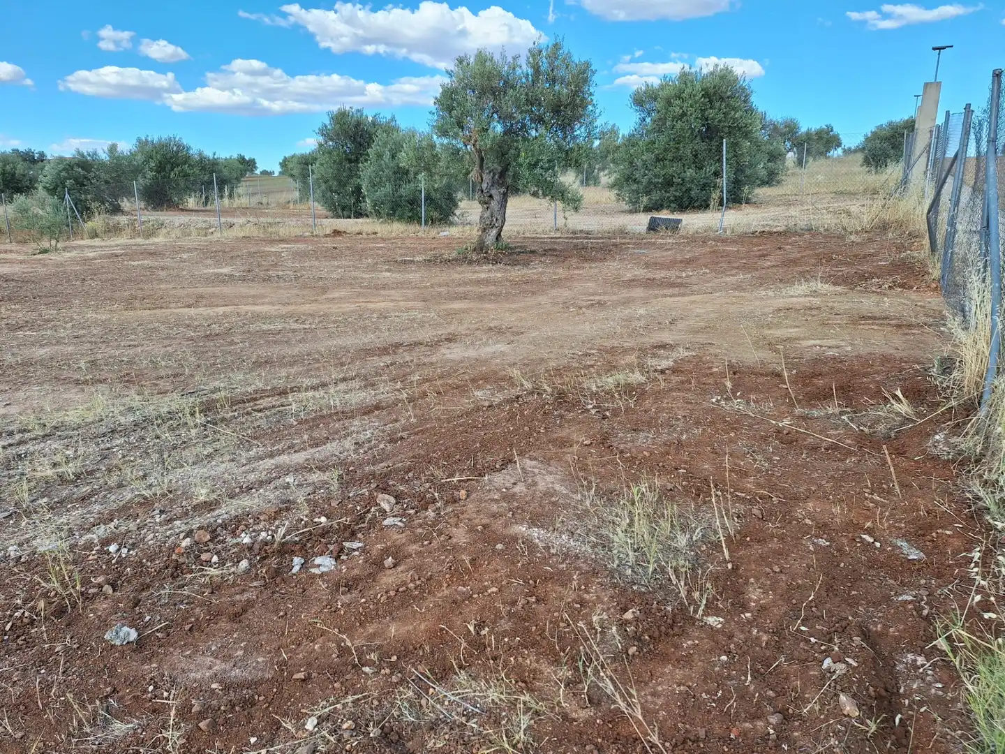 Terreny residencial en venda a Solana de los Barros, imagen 12