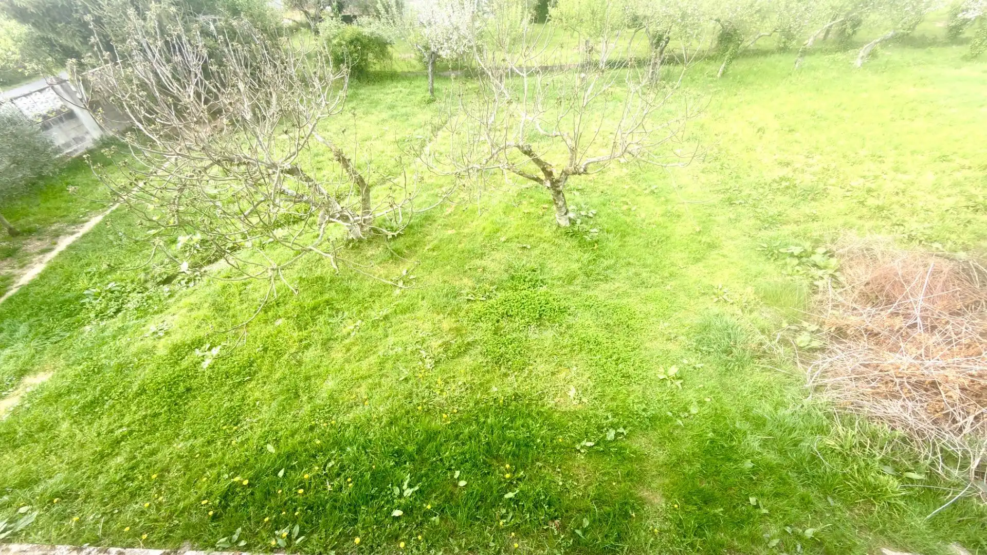 House with terrace for sale in Monforte de Lemos, imagen 51