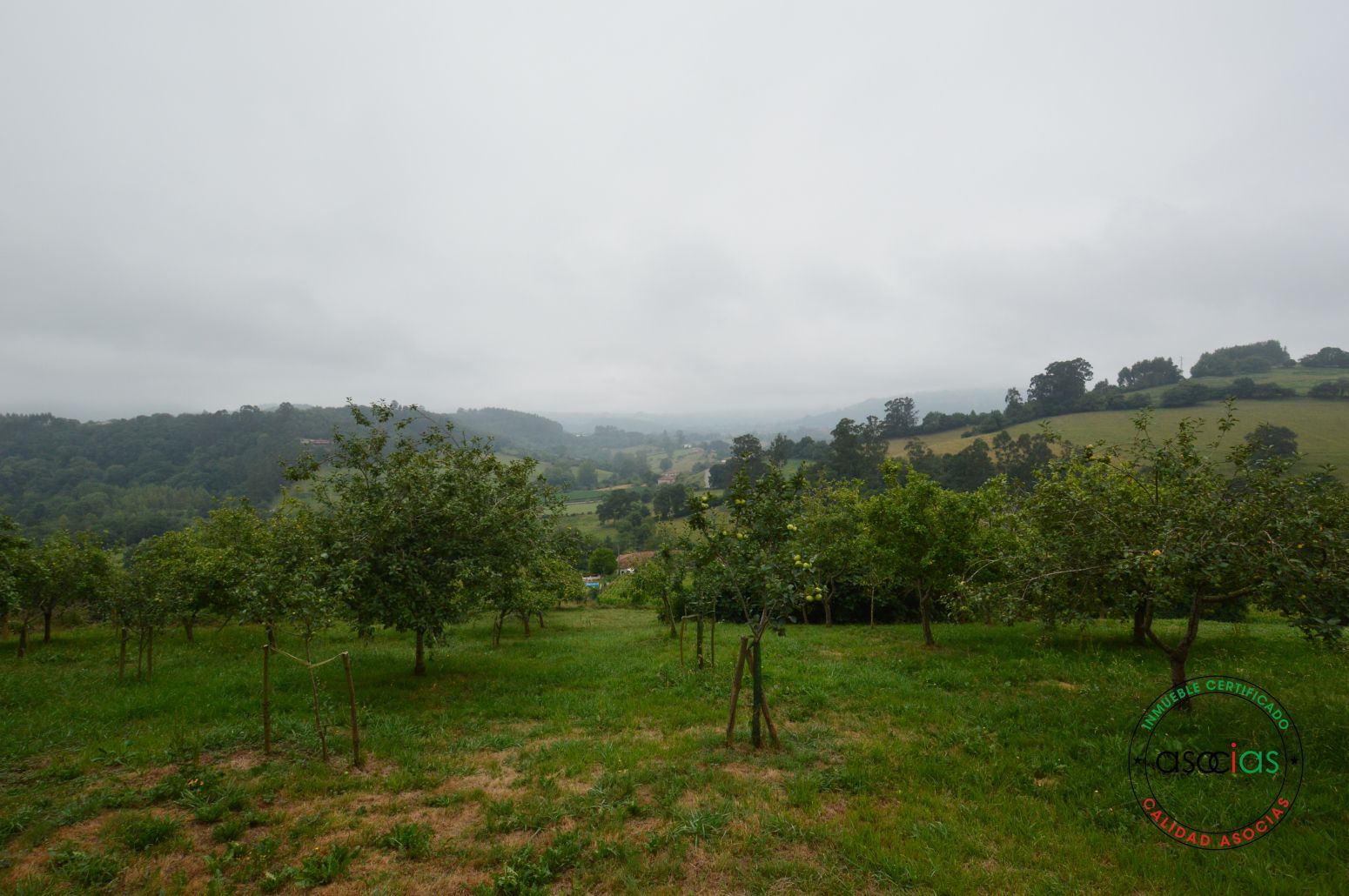 Casa o xalet en venda en Villaviciosa amb Jardí privat